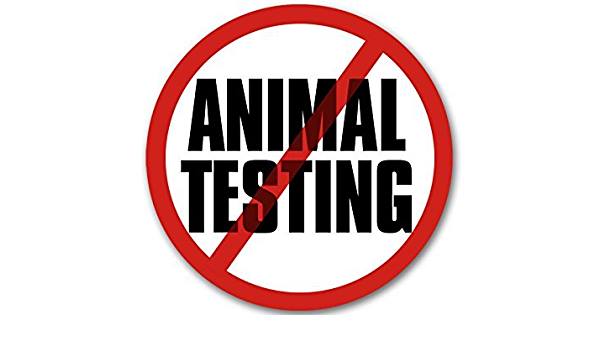 The Anti-Vivisection Alliance - TAVA