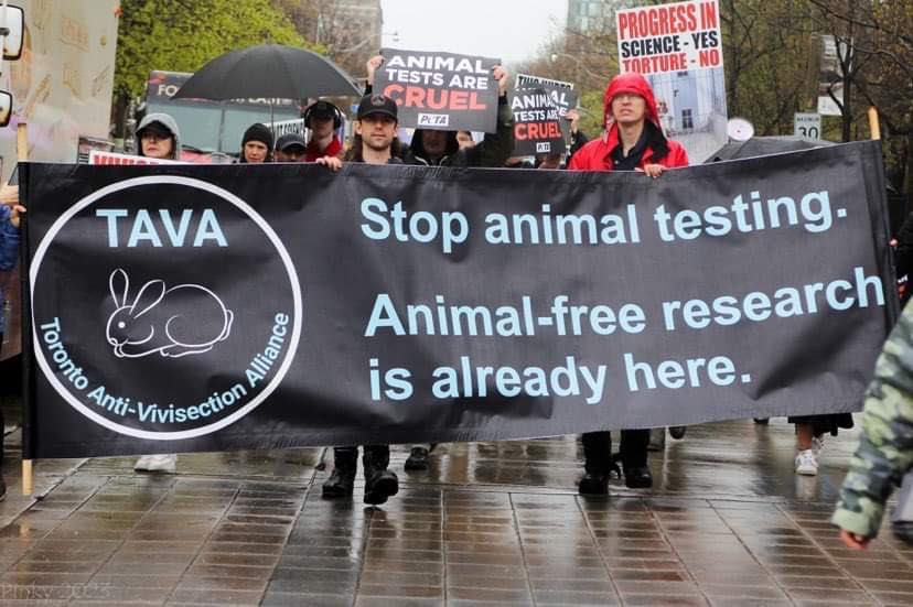 The Anti-Vivisection Alliance - TAVA