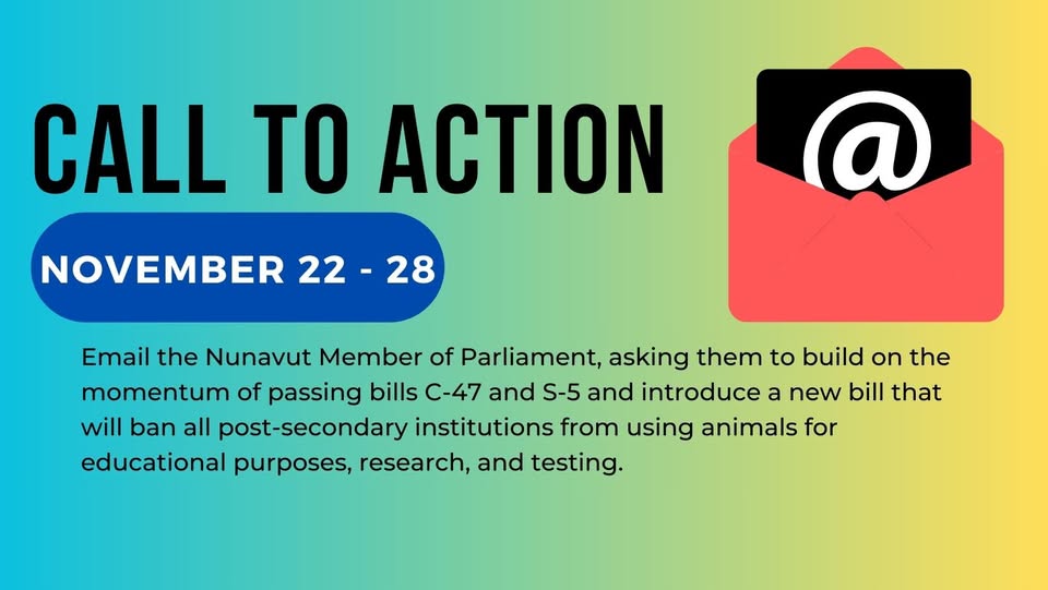 The Anti-Vivisection Alliance - TAVA