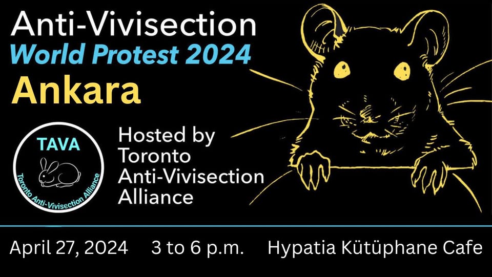 The Anti-Vivisection Alliance - TAVA