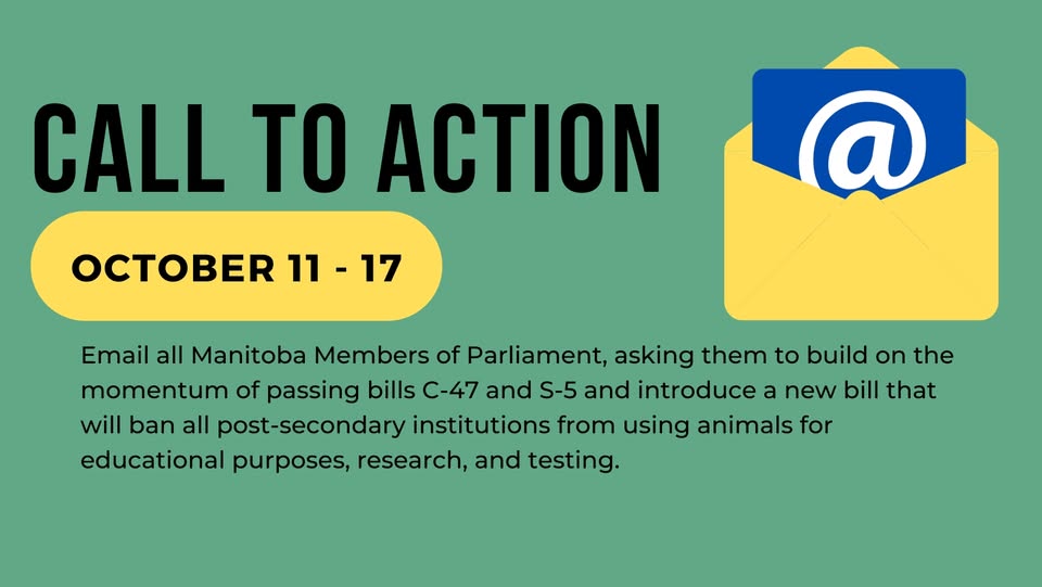 The Anti-Vivisection Alliance - TAVA
