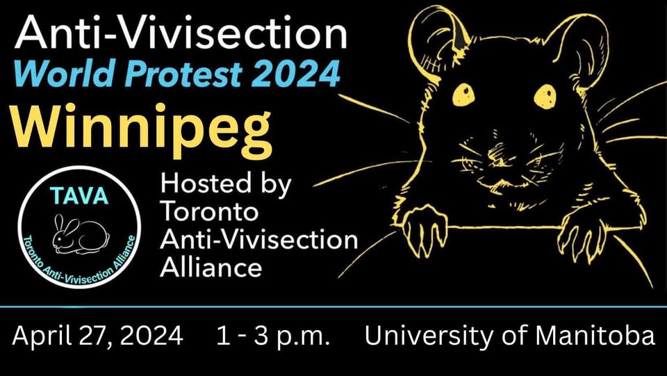 The Anti-Vivisection Alliance - TAVA