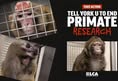 The Anti-Vivisection Alliance - TAVA