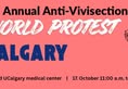 The Anti-Vivisection Alliance - TAVA