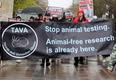The Anti-Vivisection Alliance - TAVA