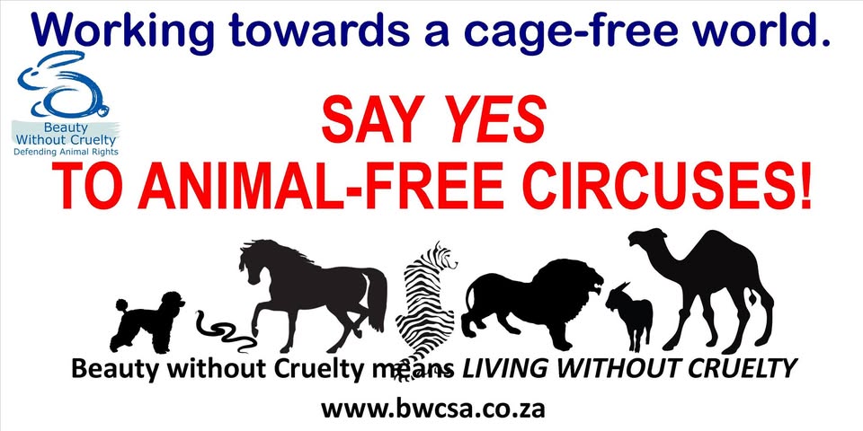 Beauty Without Cruelty (South Africa)