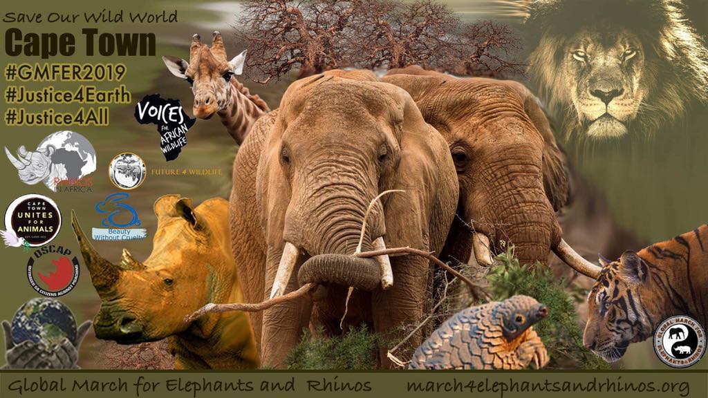 Beauty Without Cruelty (South Africa)