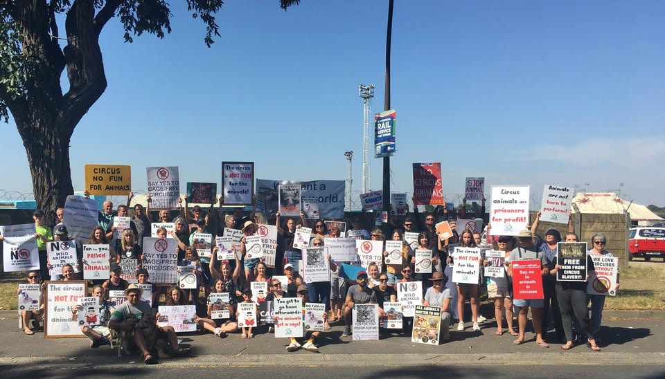 Beauty Without Cruelty (South Africa)