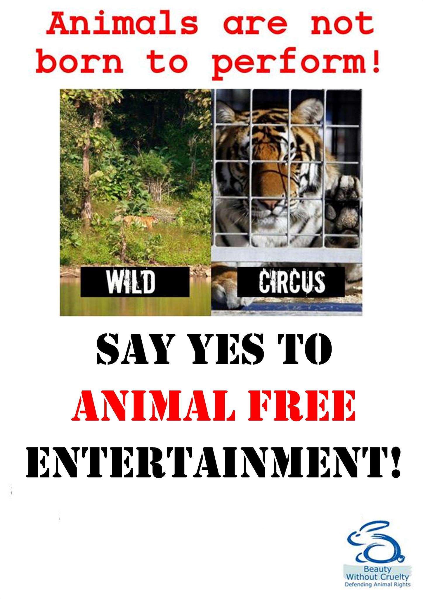 Beauty Without Cruelty (South Africa)