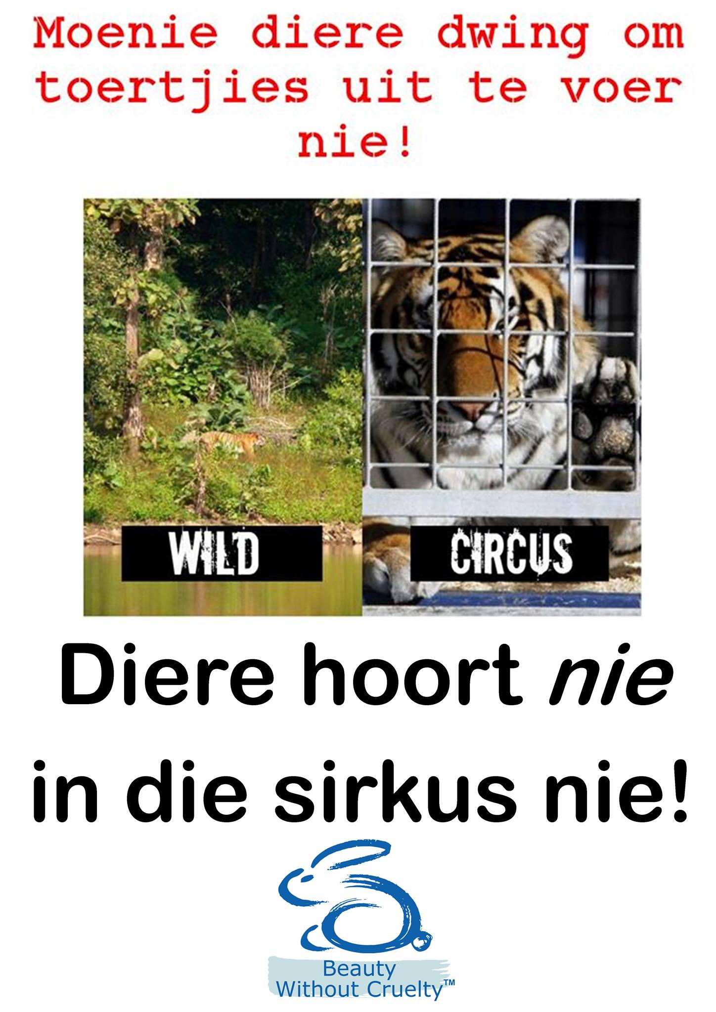 Beauty Without Cruelty (South Africa)