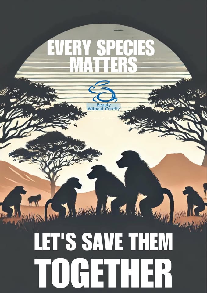 Beauty Without Cruelty (South Africa)
