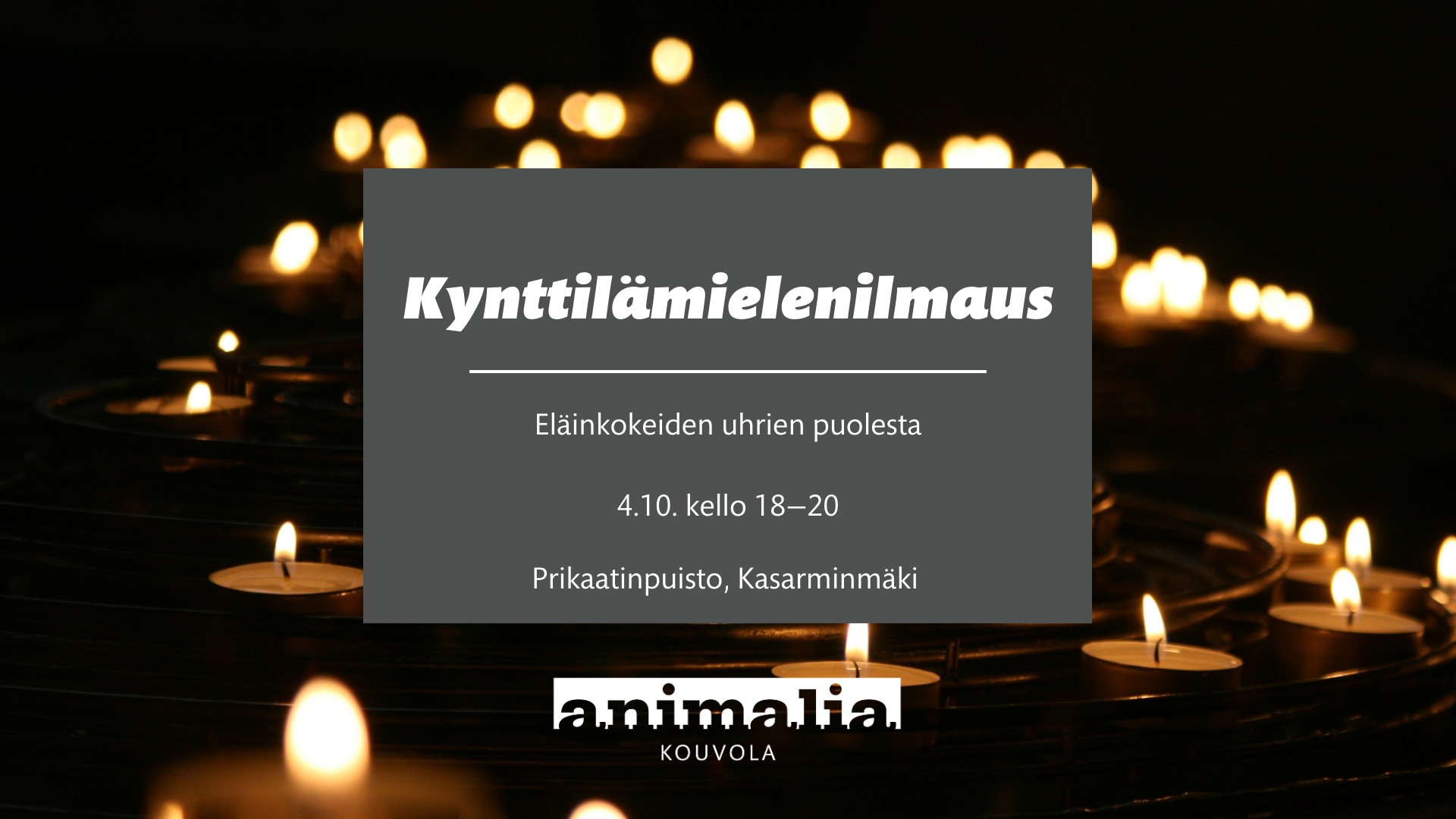 Animalia