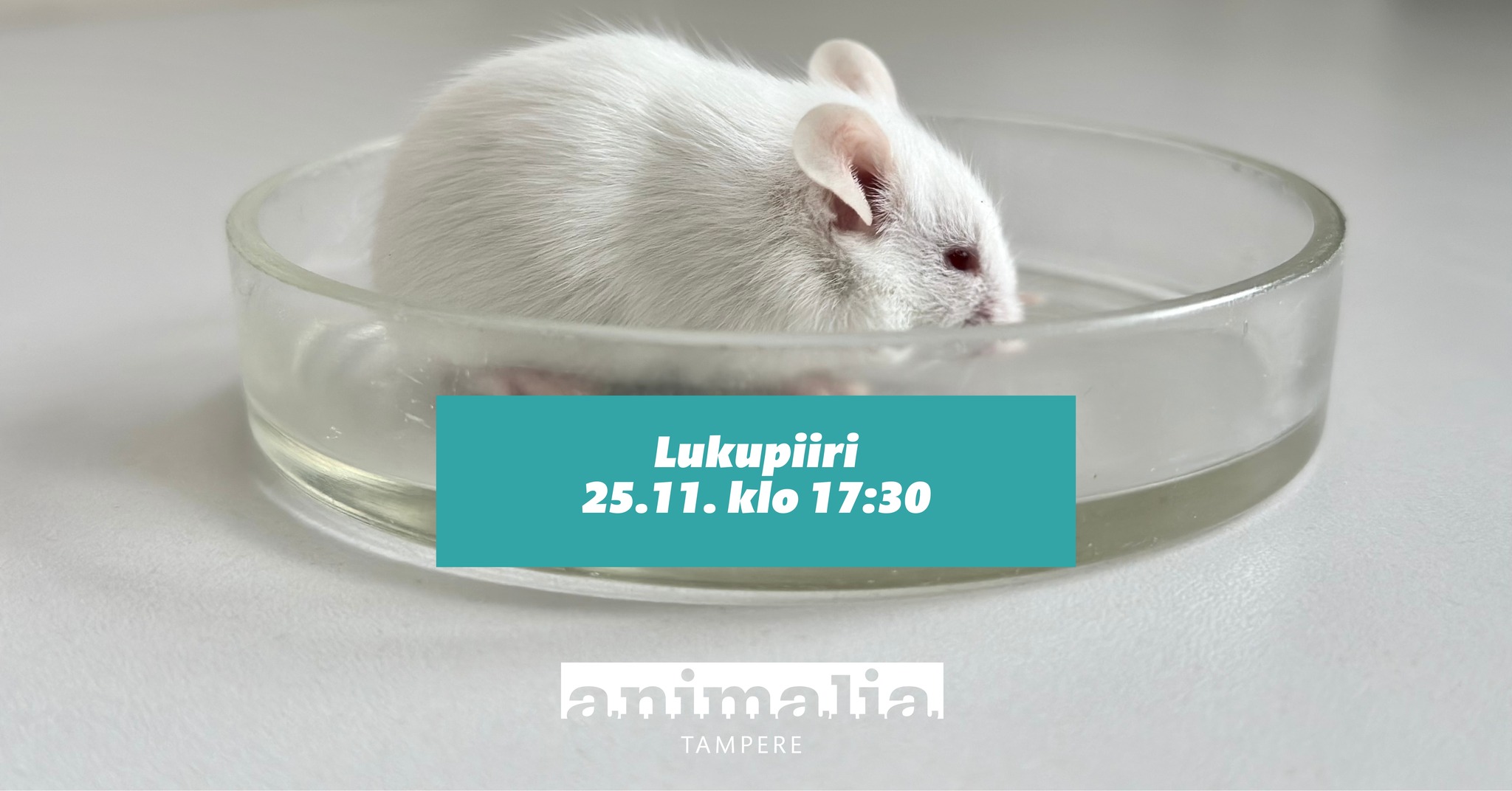 Animalia