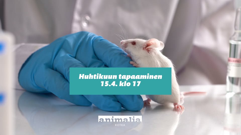 Animalia