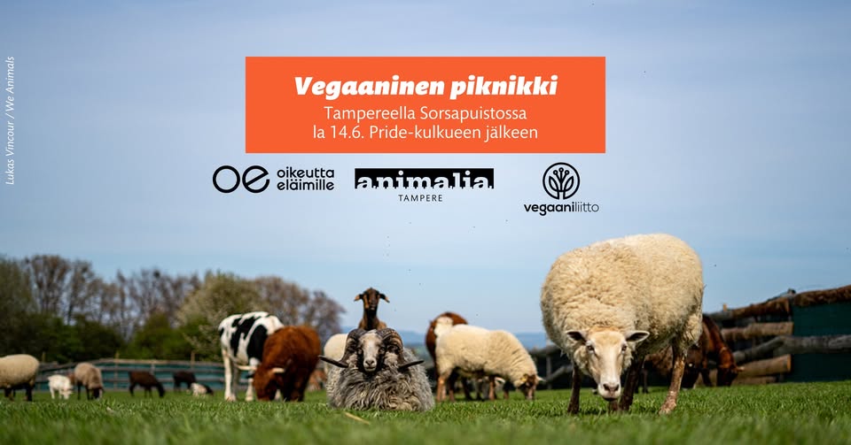 Animalia