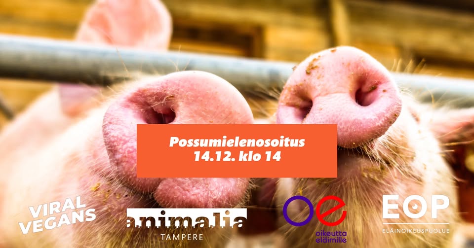 Animalia