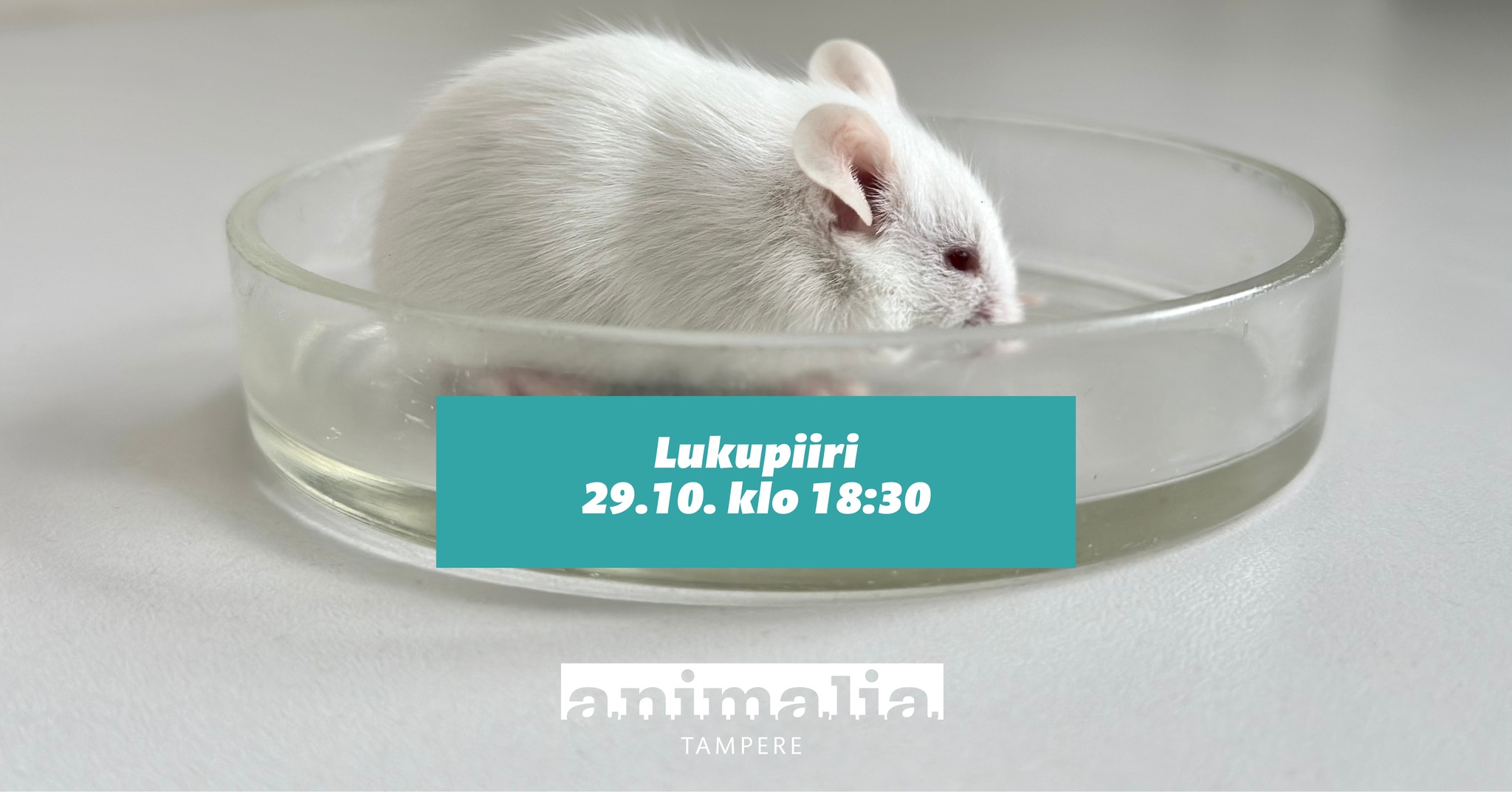Animalia