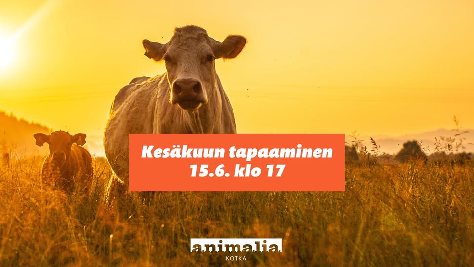 Animalia