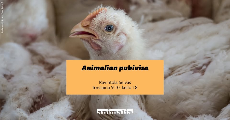 Animalia