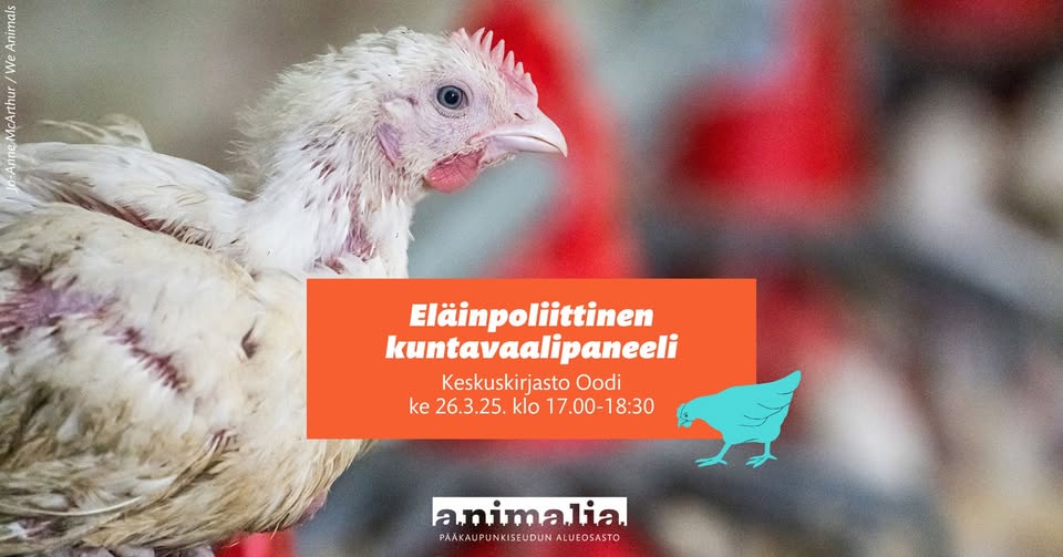 Animalia