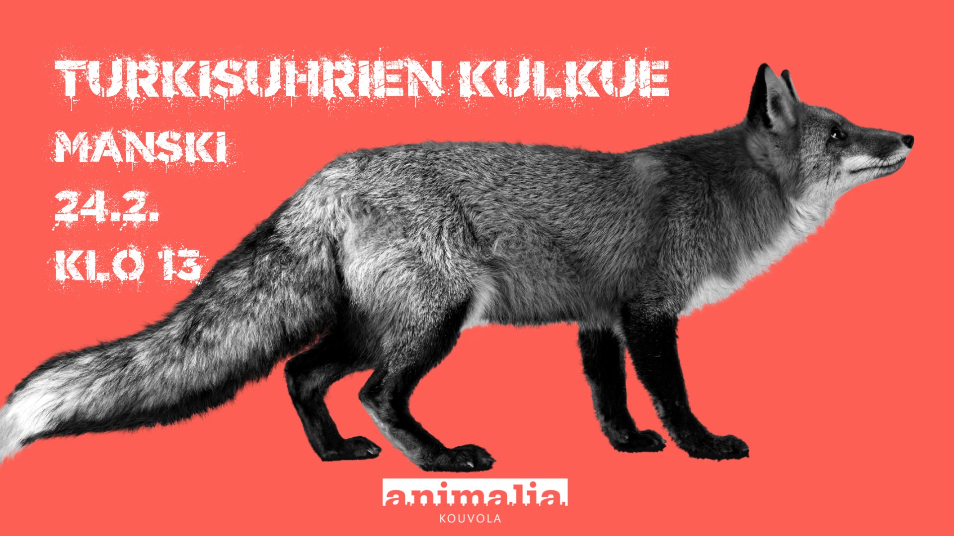 Animalia