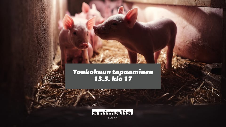 Animalia