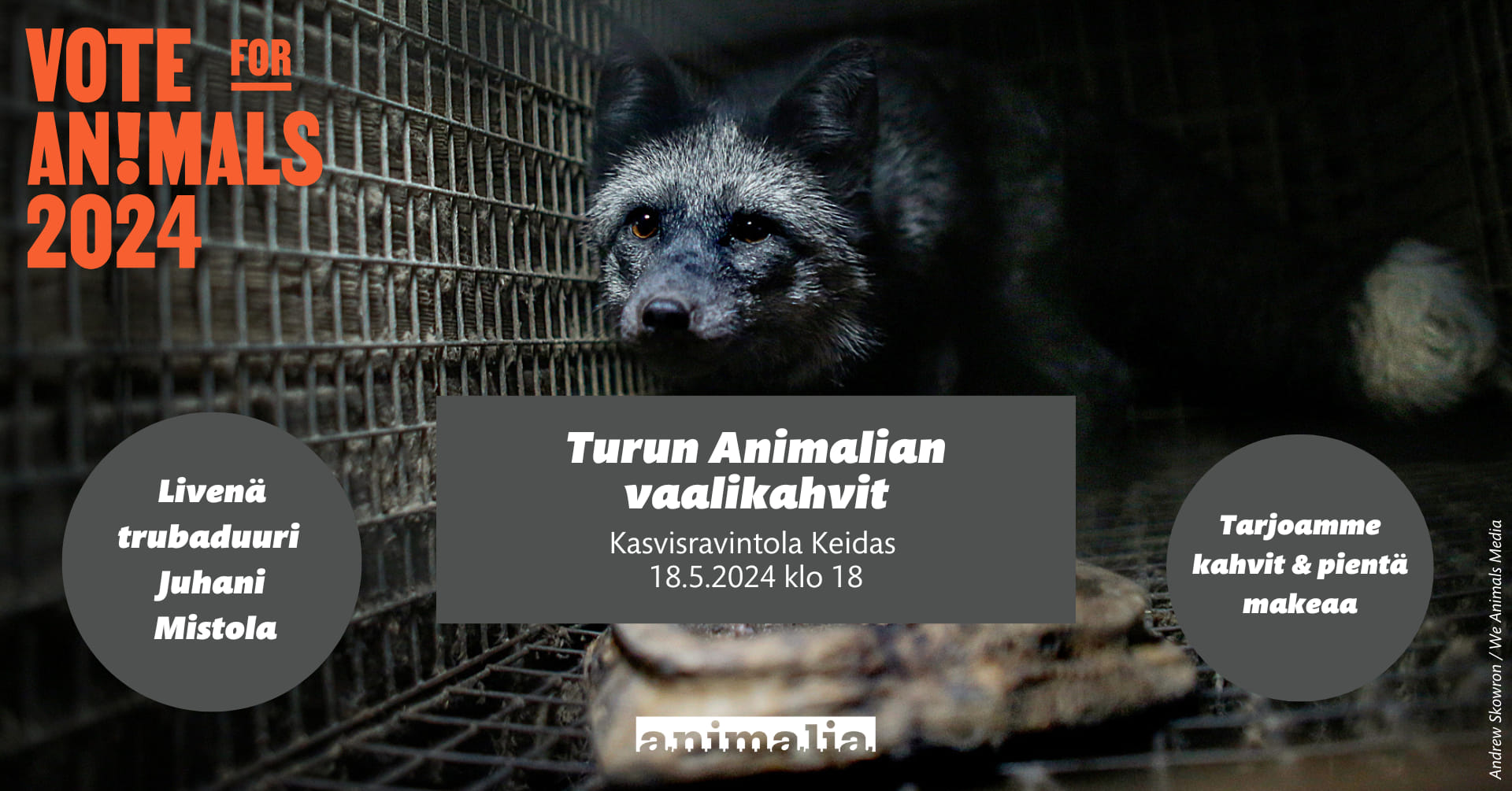 Animalia