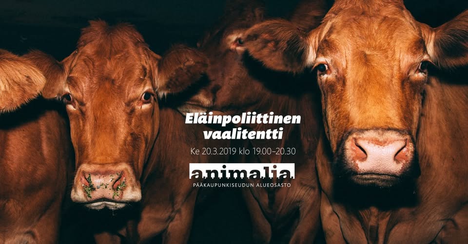 Animalia