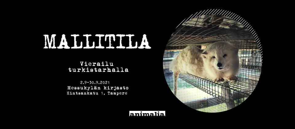 Animalia