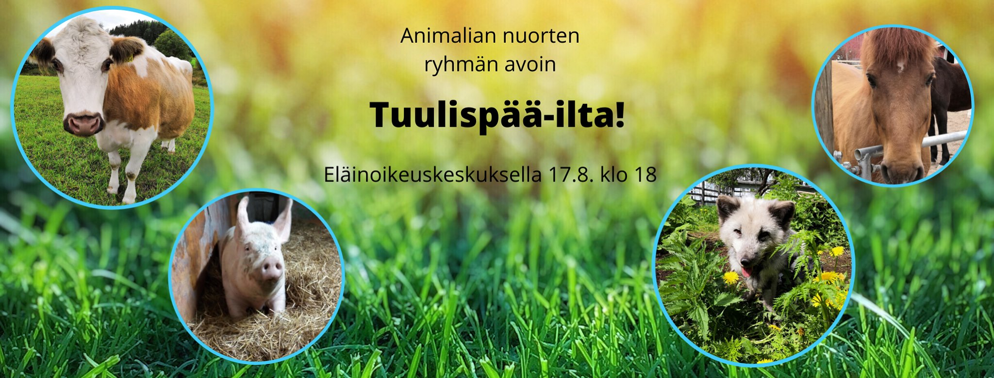 Animalia