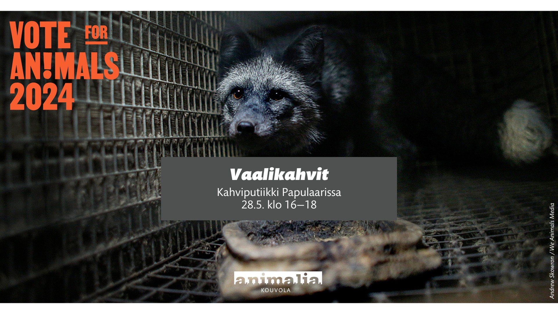 Animalia