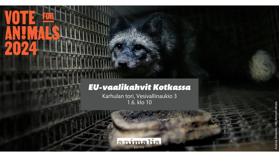 Animalia