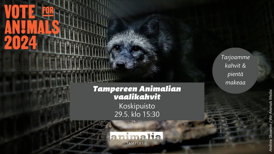 Animalia