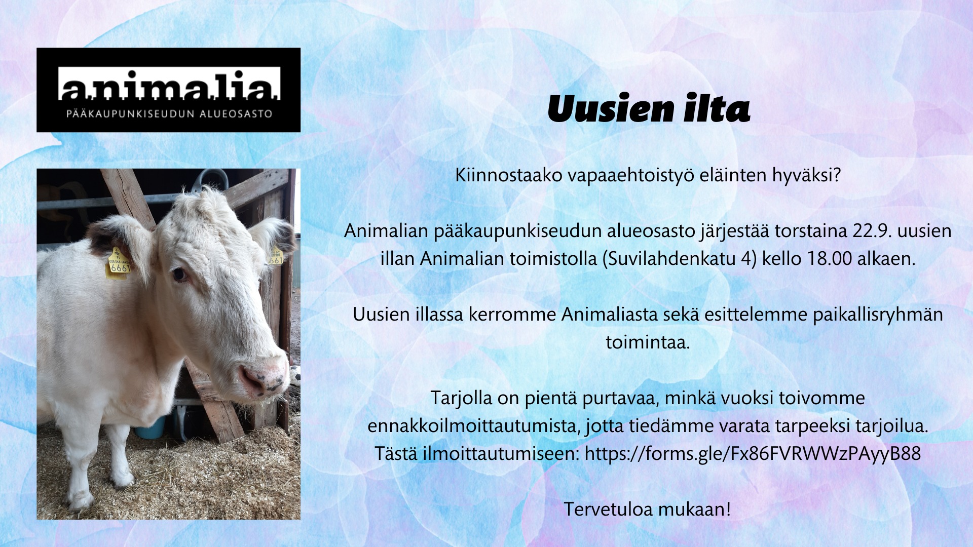 Animalia