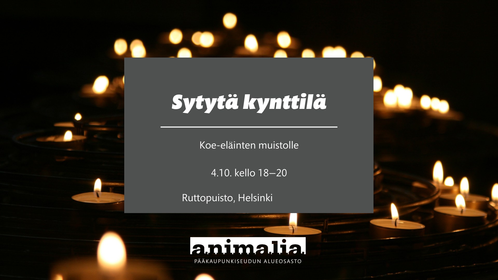 Animalia