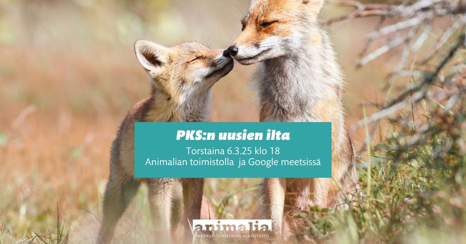 Animalia