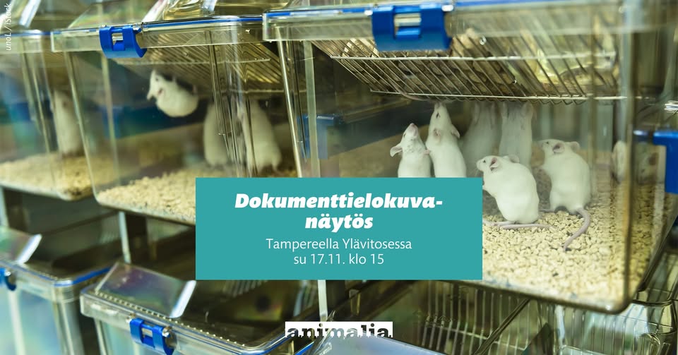 Animalia