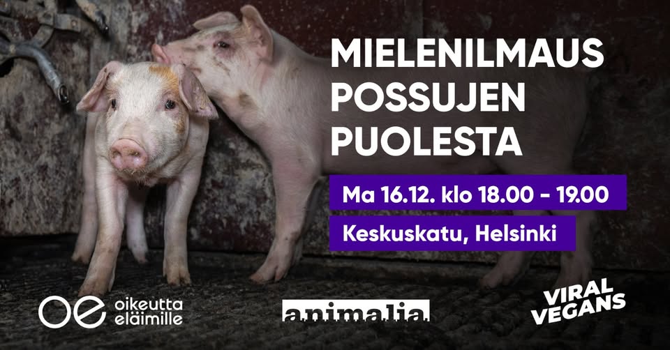 Animalia
