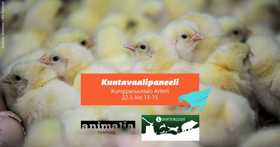 Animalia