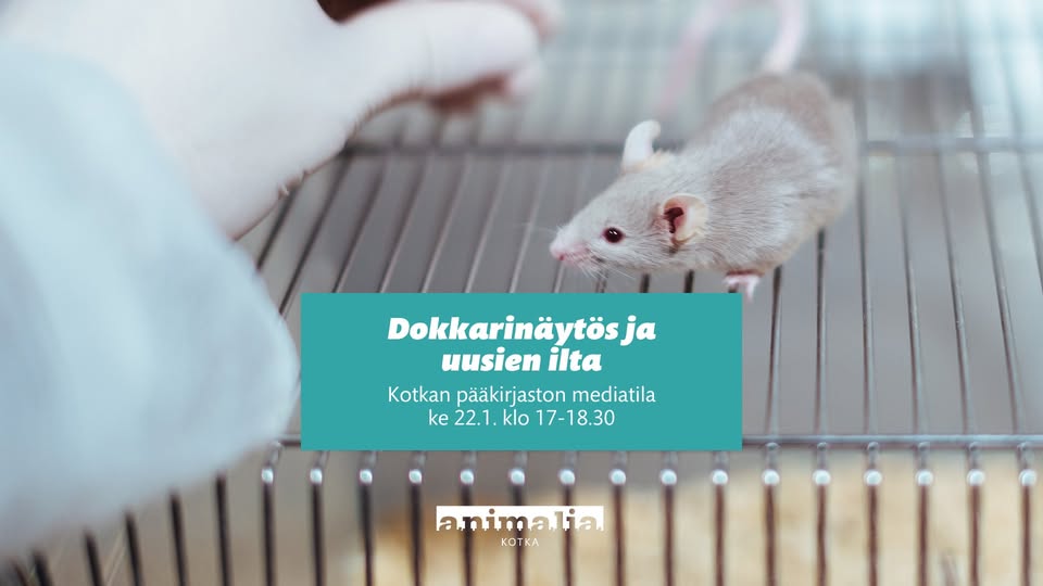 Animalia