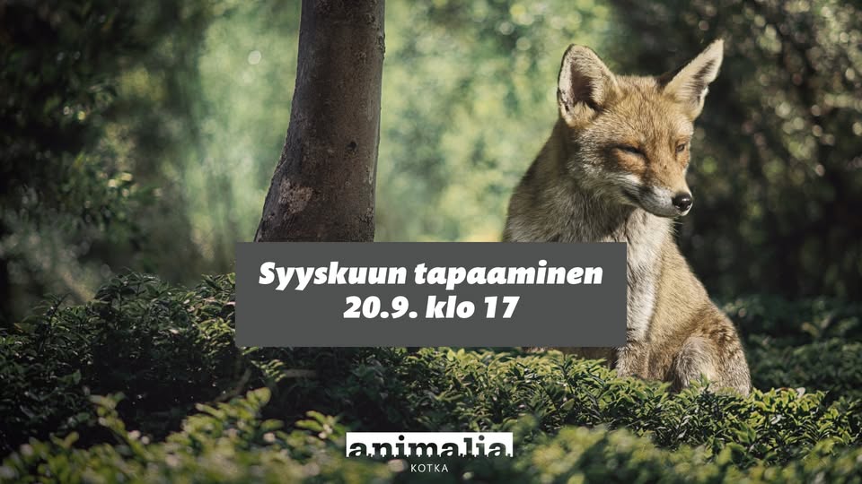 Animalia