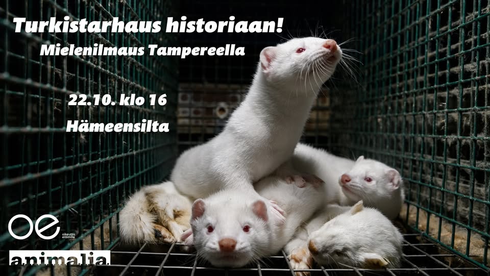 Animalia