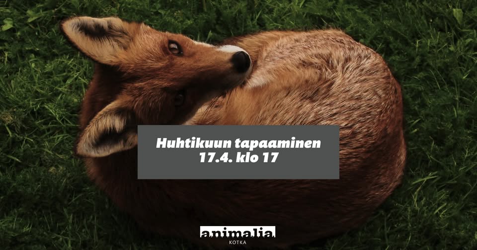 Animalia