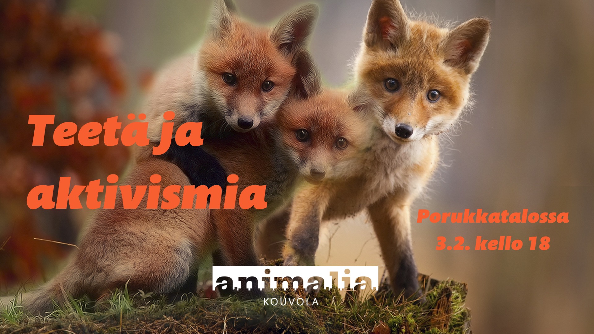 Animalia