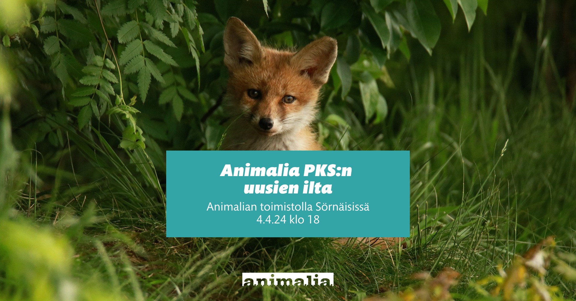 Animalia
