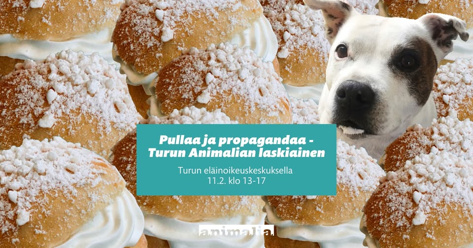 Animalia