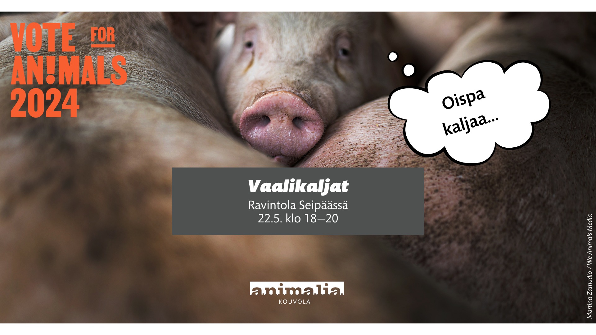 Animalia