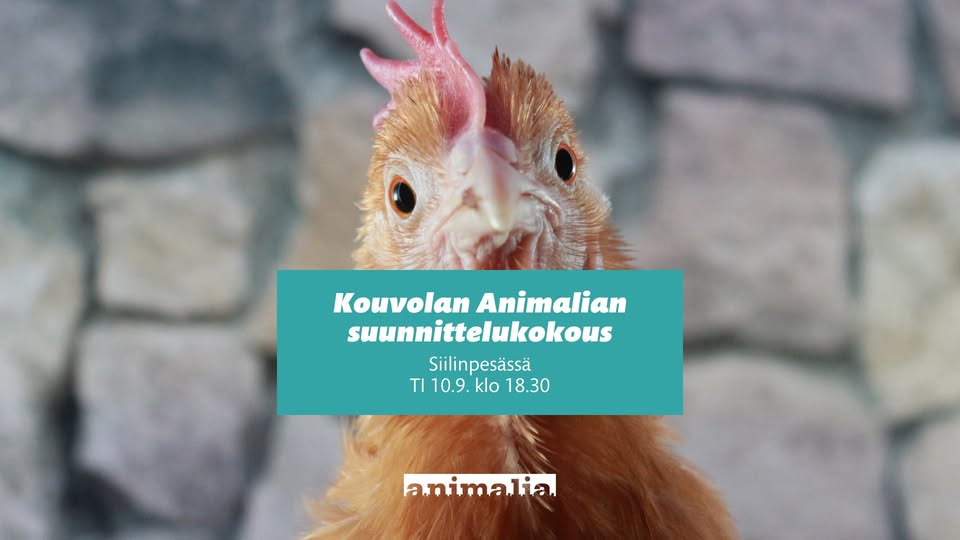 Animalia