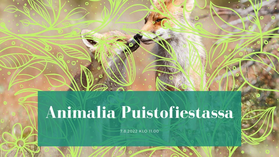 Animalia