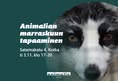 Animalia